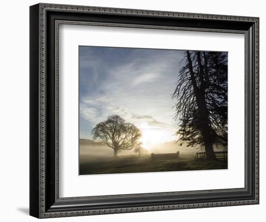 Cross-country course at dawn-AdventureArt-Framed Photographic Print