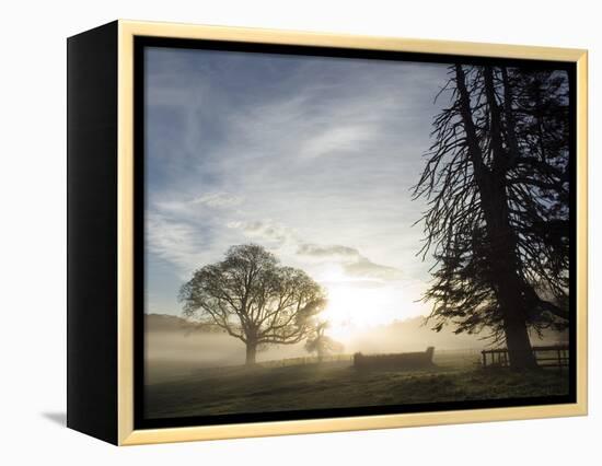 Cross-country course at dawn-AdventureArt-Framed Premier Image Canvas