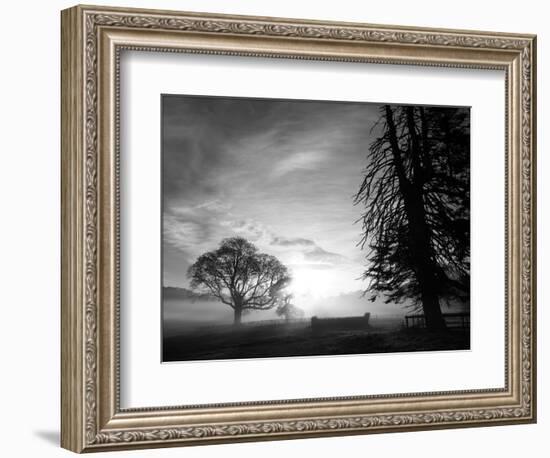 Cross-country course at dawn-AdventureArt-Framed Photographic Print