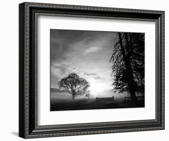 Cross-country course at dawn-AdventureArt-Framed Photographic Print