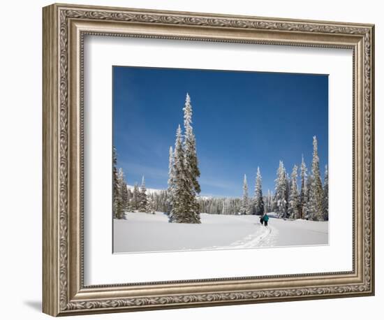 Cross Country Skiing after Snowstorm at Barn Flats, Mt. Rainier National Park, Washington, USA-Jamie & Judy Wild-Framed Photographic Print