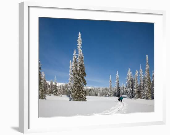 Cross Country Skiing after Snowstorm at Barn Flats, Mt. Rainier National Park, Washington, USA-Jamie & Judy Wild-Framed Photographic Print