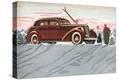 Stretched Canvas Print