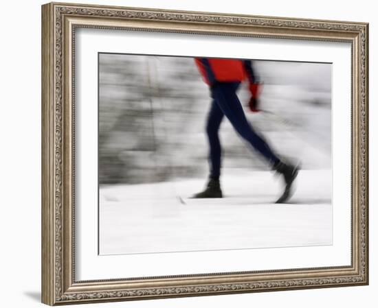 Cross Country Skiing on Spray River Trail, Banff, Alberta-Michele Westmorland-Framed Photographic Print