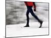 Cross Country Skiing on Spray River Trail, Banff, Alberta-Michele Westmorland-Mounted Photographic Print