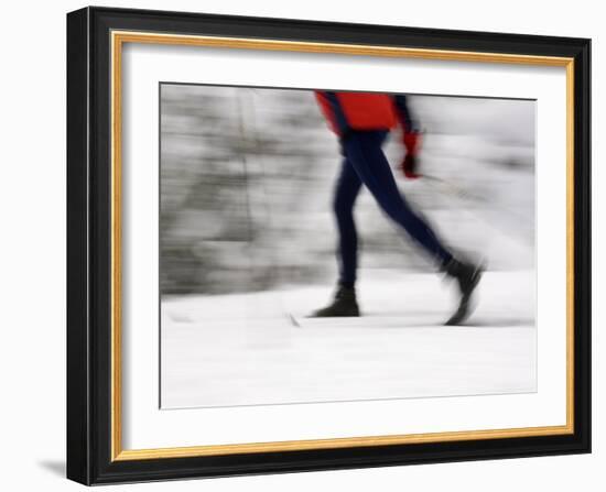 Cross Country Skiing on Spray River Trail, Banff, Alberta-Michele Westmorland-Framed Photographic Print
