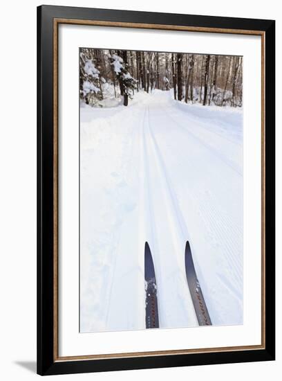 Cross Country Skis, Notchview Reservation, Windsor, Massachusetts-Jerry & Marcy Monkman-Framed Photographic Print