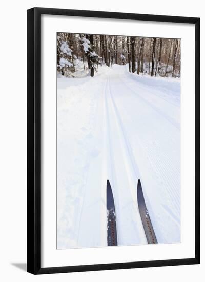 Cross Country Skis, Notchview Reservation, Windsor, Massachusetts-Jerry & Marcy Monkman-Framed Photographic Print