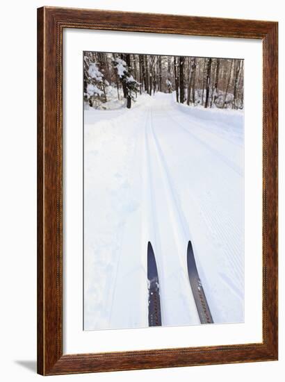 Cross Country Skis, Notchview Reservation, Windsor, Massachusetts-Jerry & Marcy Monkman-Framed Photographic Print