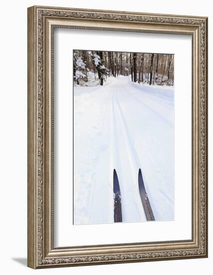 Cross Country Skis, Notchview Reservation, Windsor, Massachusetts-Jerry & Marcy Monkman-Framed Photographic Print