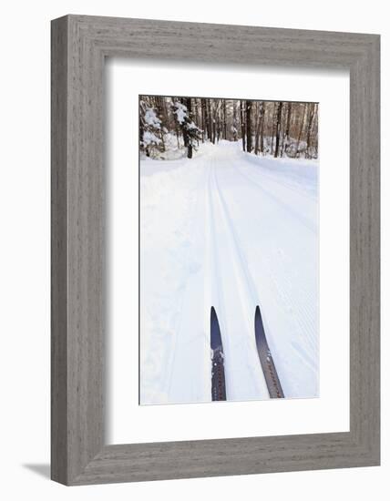 Cross Country Skis, Notchview Reservation, Windsor, Massachusetts-Jerry & Marcy Monkman-Framed Photographic Print