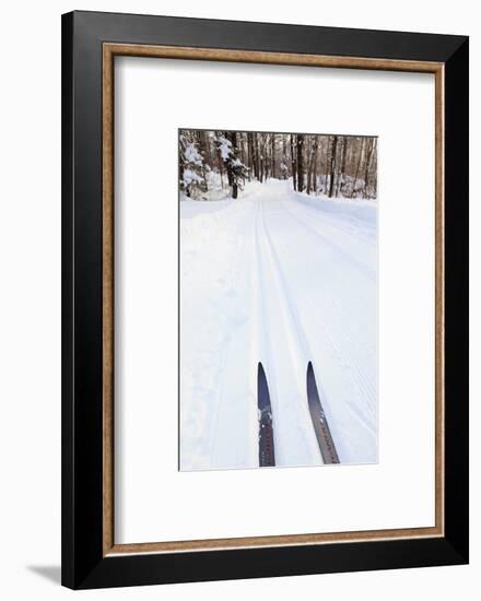 Cross Country Skis, Notchview Reservation, Windsor, Massachusetts-Jerry & Marcy Monkman-Framed Photographic Print
