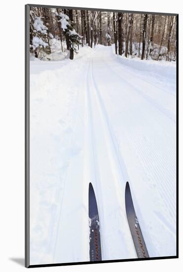 Cross Country Skis, Notchview Reservation, Windsor, Massachusetts-Jerry & Marcy Monkman-Mounted Photographic Print