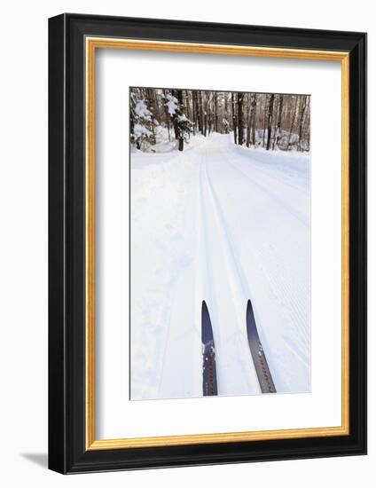 Cross Country Skis, Notchview Reservation, Windsor, Massachusetts-Jerry & Marcy Monkman-Framed Photographic Print