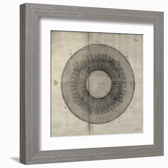 Cross Cut II-John Butler-Framed Art Print