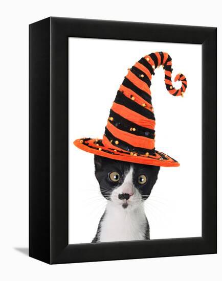 Cross Eyed Kitten Wearing A Halloween Witch Hat-Hannamariah-Framed Premier Image Canvas