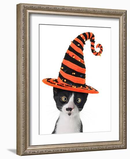 Cross Eyed Kitten Wearing A Halloween Witch Hat-Hannamariah-Framed Photographic Print