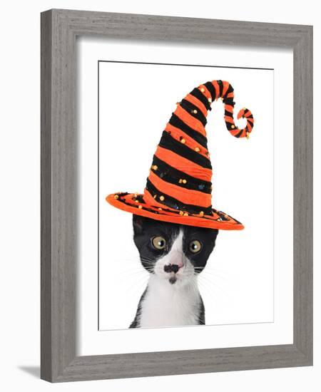 Cross Eyed Kitten Wearing A Halloween Witch Hat-Hannamariah-Framed Photographic Print