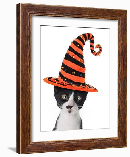 Cross Eyed Kitten Wearing A Halloween Witch Hat-Hannamariah-Framed Photographic Print