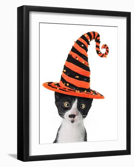 Cross Eyed Kitten Wearing A Halloween Witch Hat-Hannamariah-Framed Photographic Print