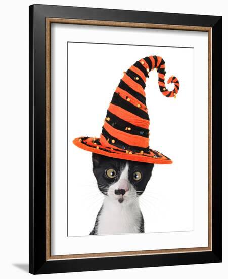 Cross Eyed Kitten Wearing A Halloween Witch Hat-Hannamariah-Framed Photographic Print