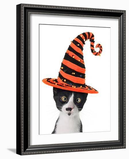 Cross Eyed Kitten Wearing A Halloween Witch Hat-Hannamariah-Framed Photographic Print