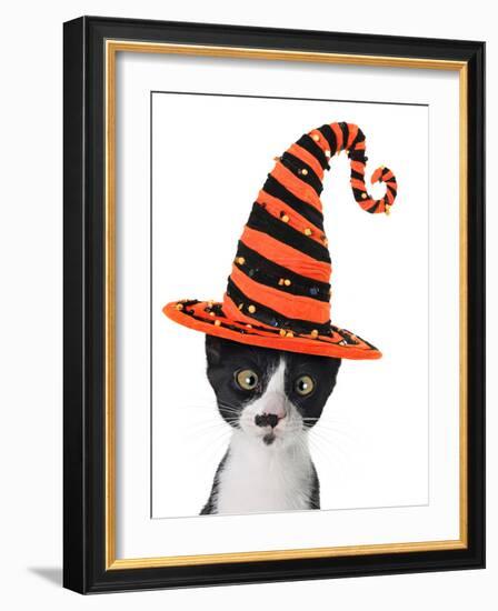 Cross Eyed Kitten Wearing A Halloween Witch Hat-Hannamariah-Framed Photographic Print