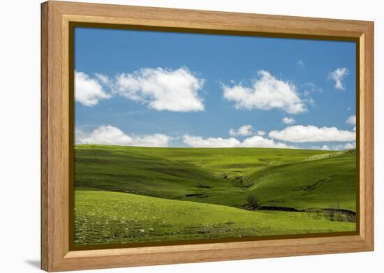 Cross in the Flint Hills-Michael Scheufler-Framed Premier Image Canvas