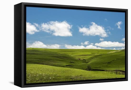 Cross in the Flint Hills-Michael Scheufler-Framed Premier Image Canvas