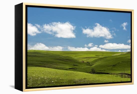 Cross in the Flint Hills-Michael Scheufler-Framed Premier Image Canvas