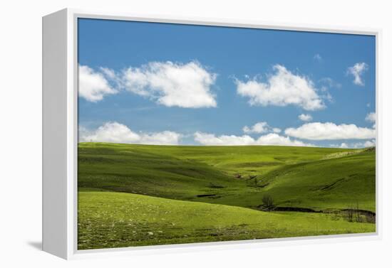 Cross in the Flint Hills-Michael Scheufler-Framed Premier Image Canvas