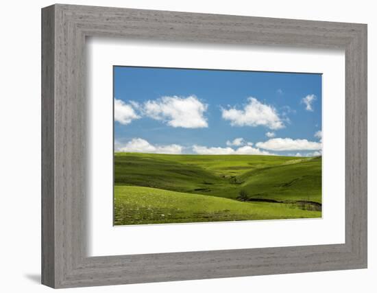 Cross in the Flint Hills-Michael Scheufler-Framed Photographic Print