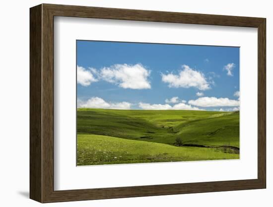 Cross in the Flint Hills-Michael Scheufler-Framed Photographic Print