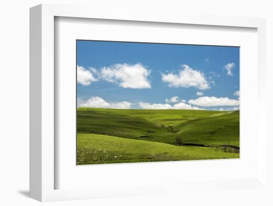 Cross in the Flint Hills-Michael Scheufler-Framed Photographic Print