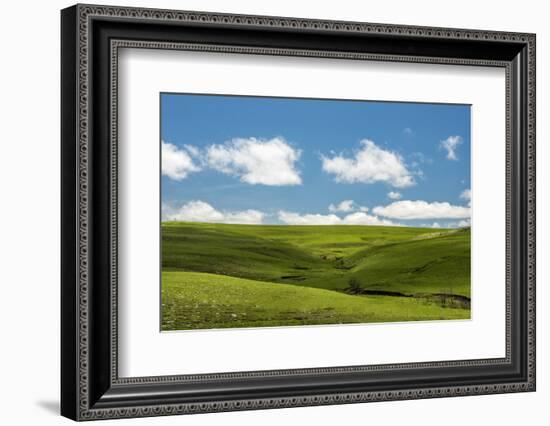 Cross in the Flint Hills-Michael Scheufler-Framed Photographic Print