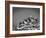 Cross on Top of Sandia Mountain Boulder Mound Landscape in Black and White, New Mexico-Kevin Lange-Framed Photographic Print