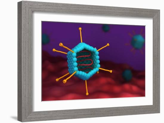 Cross section of an adenovirus.-Stocktrek Images-Framed Art Print