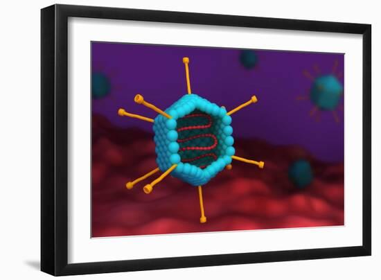 Cross section of an adenovirus.-Stocktrek Images-Framed Art Print