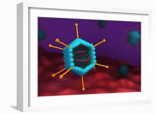 Cross section of an adenovirus.-Stocktrek Images-Framed Art Print