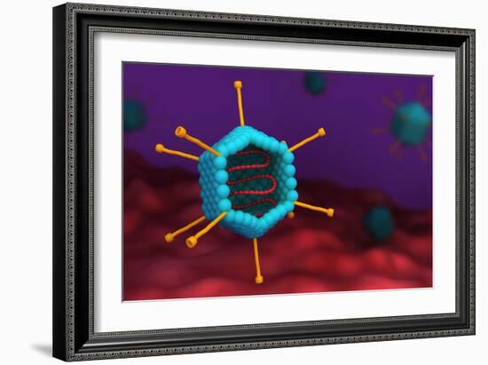 Cross section of an adenovirus.-Stocktrek Images-Framed Art Print