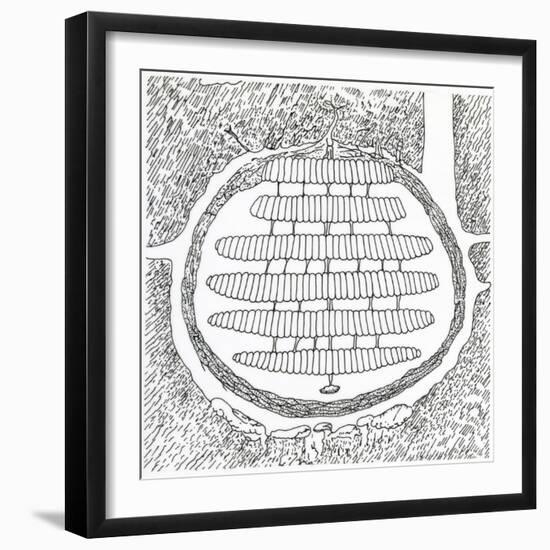 Cross-Section of German Wasp's Nest, Vespidae-null-Framed Giclee Print