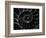 Cross Section of Sea Shell-Henry Horenstein-Framed Photographic Print