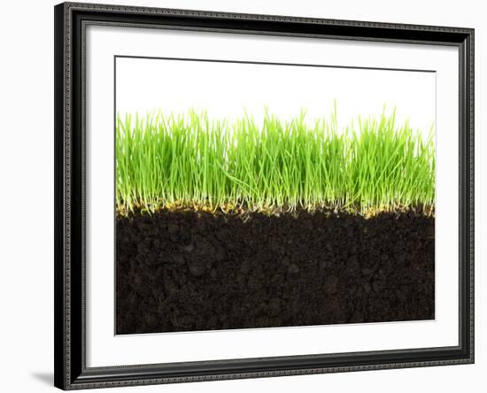 Cross-Section of Soil and Grass Isolated on White Background-viperagp-Framed Premium Photographic Print