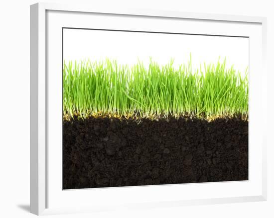 Cross-Section of Soil and Grass Isolated on White Background-viperagp-Framed Premium Photographic Print