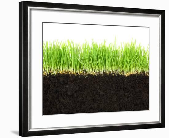 Cross-Section of Soil and Grass Isolated on White Background-viperagp-Framed Premium Photographic Print