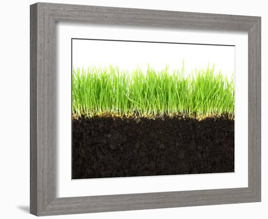 Cross-Section of Soil and Grass Isolated on White Background-viperagp-Framed Photographic Print