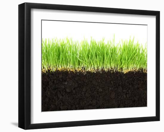 Cross-Section of Soil and Grass Isolated on White Background-viperagp-Framed Photographic Print