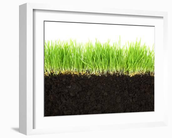 Cross-Section of Soil and Grass Isolated on White Background-viperagp-Framed Photographic Print