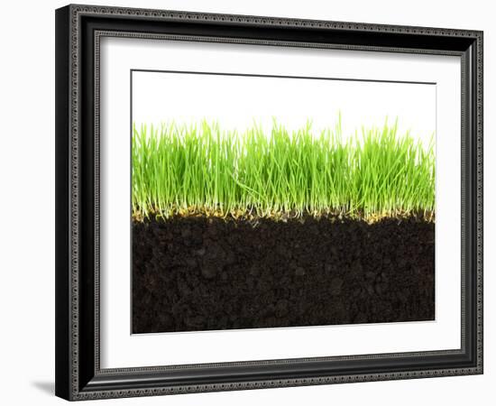 Cross-Section of Soil and Grass Isolated on White Background-viperagp-Framed Photographic Print