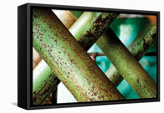 Cross Section-Dana Styber-Framed Premier Image Canvas